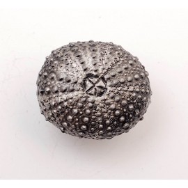 PS063 Novelty Handmade Solid Pewter Finely Sculpted Statuary Pull And Knob Of Sea Theme.