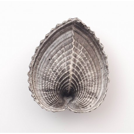 PS016 Novelty Handmade Solid Pewter Finely Sculpted Statuary Pull And Knob Of Sea Theme.